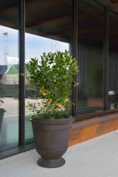 Vase Roy Soleil – Image 3