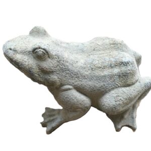 Grenouille