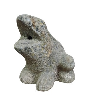 Grenouille – Image 2