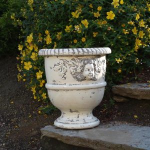 Vase Languedocien Bacchus