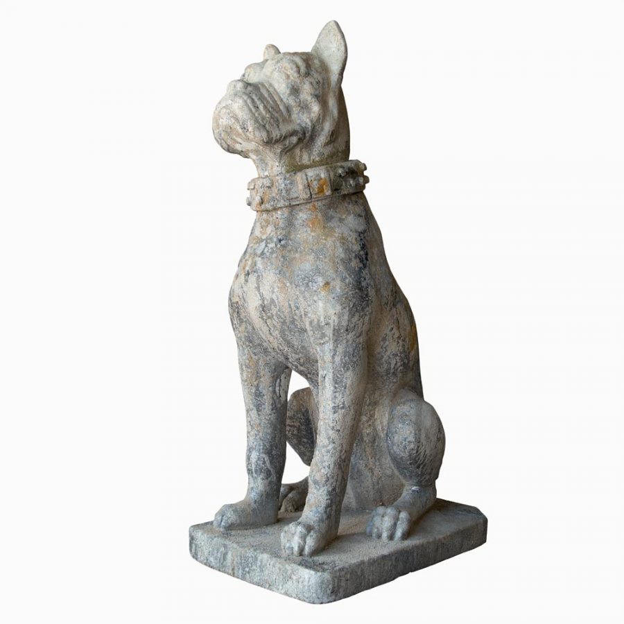 Chien Dogue Elmer