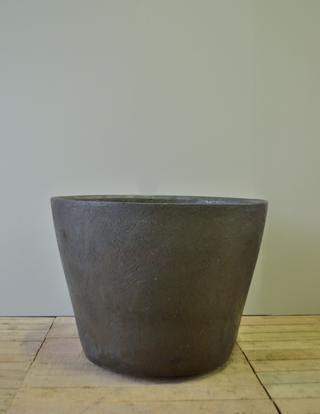 Cuvier – Image 4